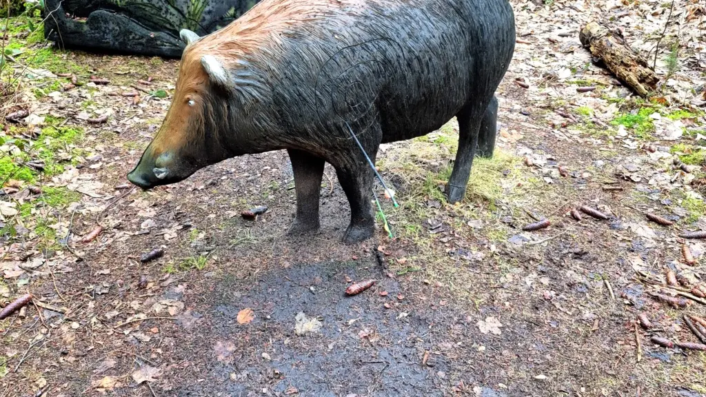 3D-Wildschwein-Ziel auf einem Waldparcours, im Hintergrund stehen Pfeilfangmatten.“