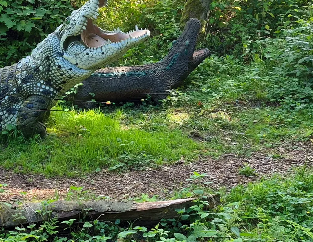 Detail: Pfeil im 3D-Ziel (Krokodil)