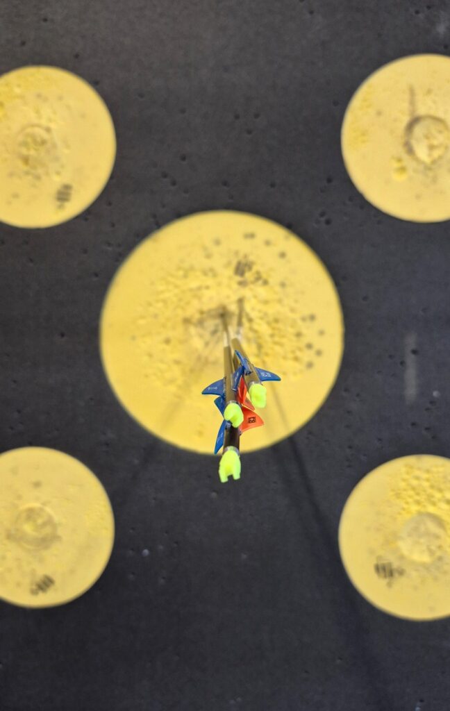 Mehrere Pfeile im Gold einer gelben Zielauflage beim Blankbogenschießen